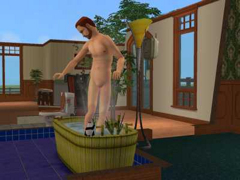 The sims nudity