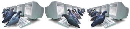 Technology Pigeon System